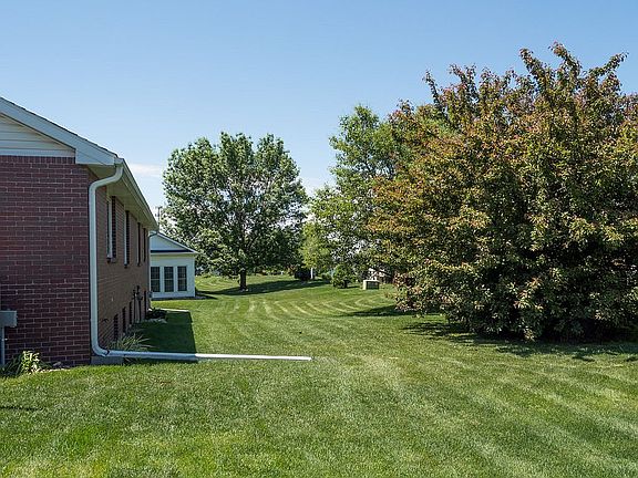 Backyard - trees for privacy