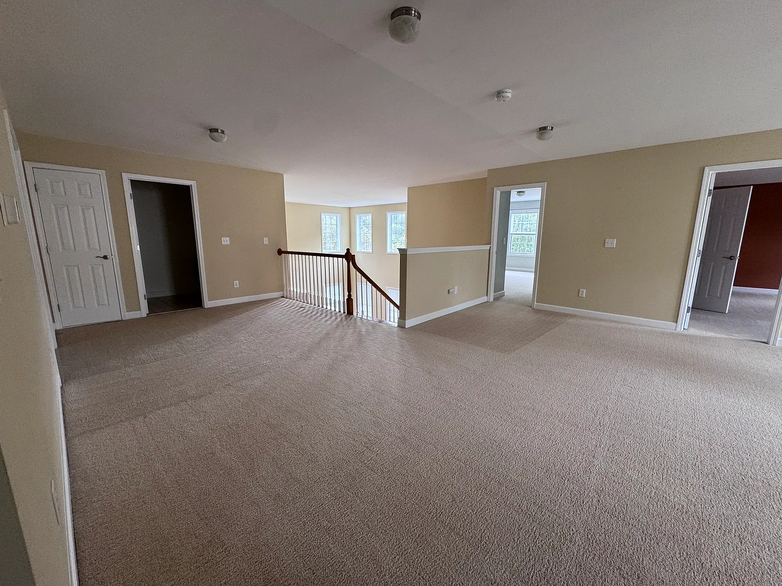 1 bed, 4207 sqft, $1,300 — Photo 3