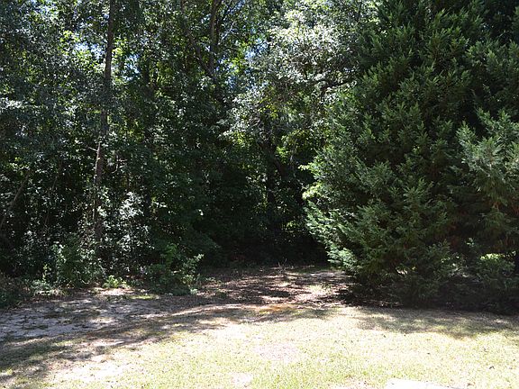 4th image of 248 Wild Olive Dr