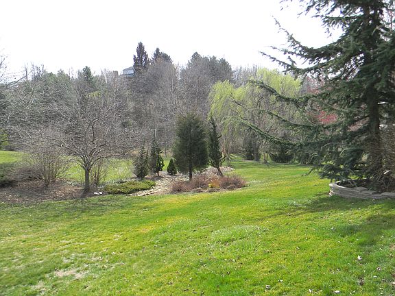 Another view of the back yard
