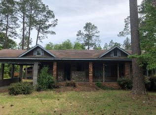 85 Mt Olivet Church Rd, Helena, GA 31037