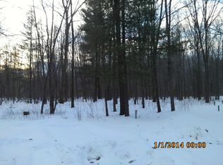 11853 Bailey Rd, Ravenna, MI 49451