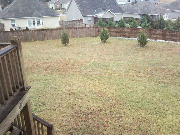 Other side of the yard