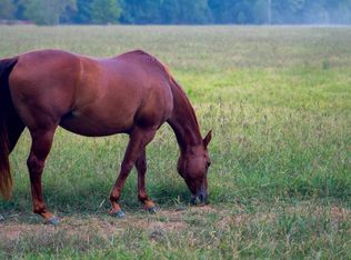 550 Sunshine Ln, Pangburn, AR 72121