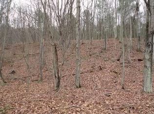 6459 Cunningham Creek Rd, Canisteo, NY 14823