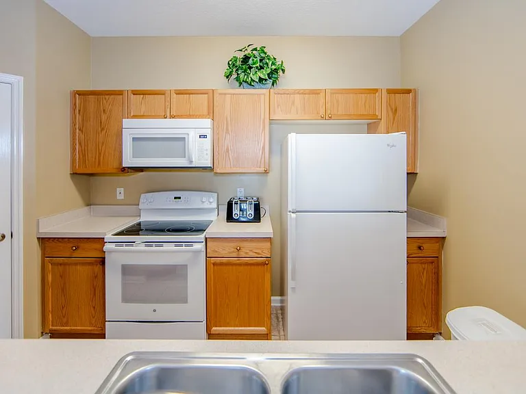 Super clean appliances