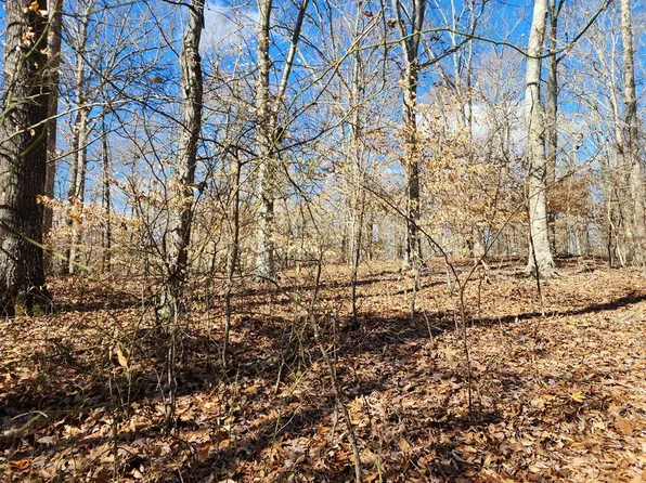 60 S Line Dr, Big Sandy, TN 38221