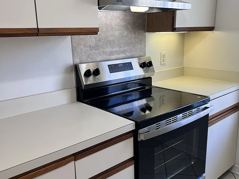 4112 Hanging Moss Ct — Photo 4
