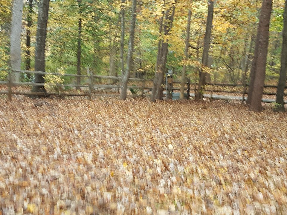 1st image of 52 Sycamore   Syrcle