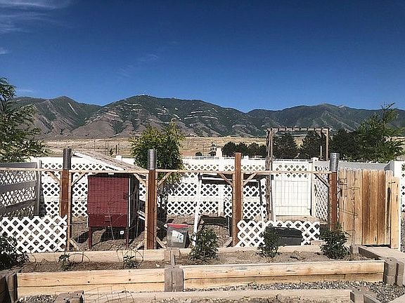 chicken coop, mtn view