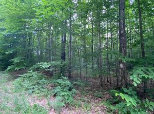 7410 Liegl Ct, Alanson, MI 49706