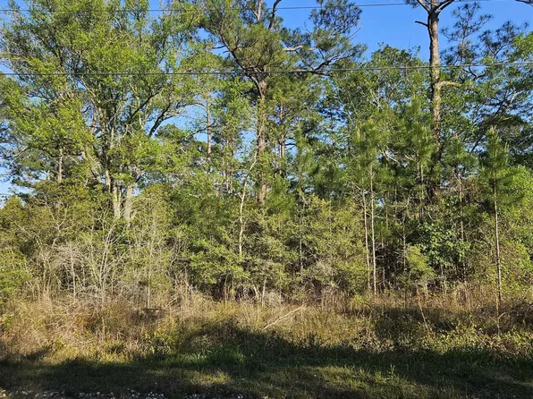 1 McGraw Blvd, Coden, AL 36523