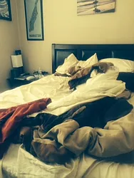 Rented by The Search D&M