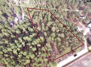 204 Charles Town Rd, Pelion, SC 29123