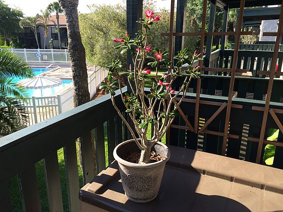 3rd image of 11525 8th Way N APT 508