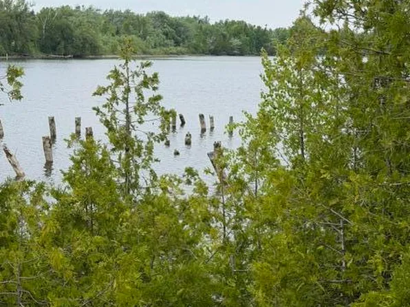 Moonlight Bay Rd, Cheboygan, MI 49721