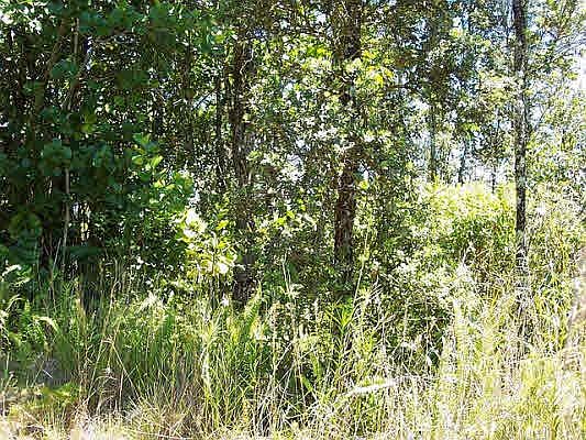 2nd image of 2nd Ave Lot 2742