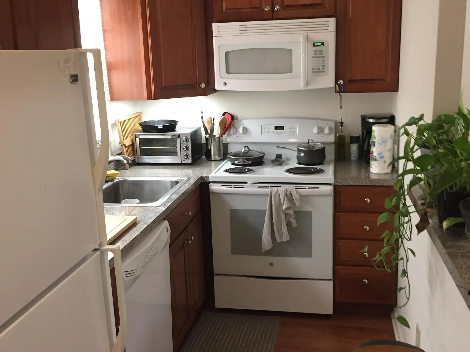 1 bed, 725 sqft, $1,900 — Photo 1