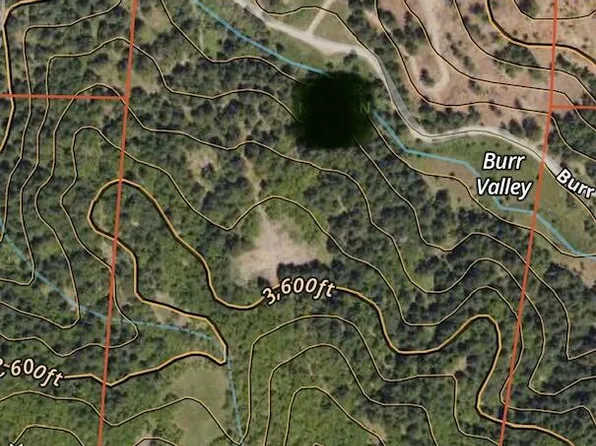 419/ACRE S Burr Valley Rd, Bridgeville, CA 95526