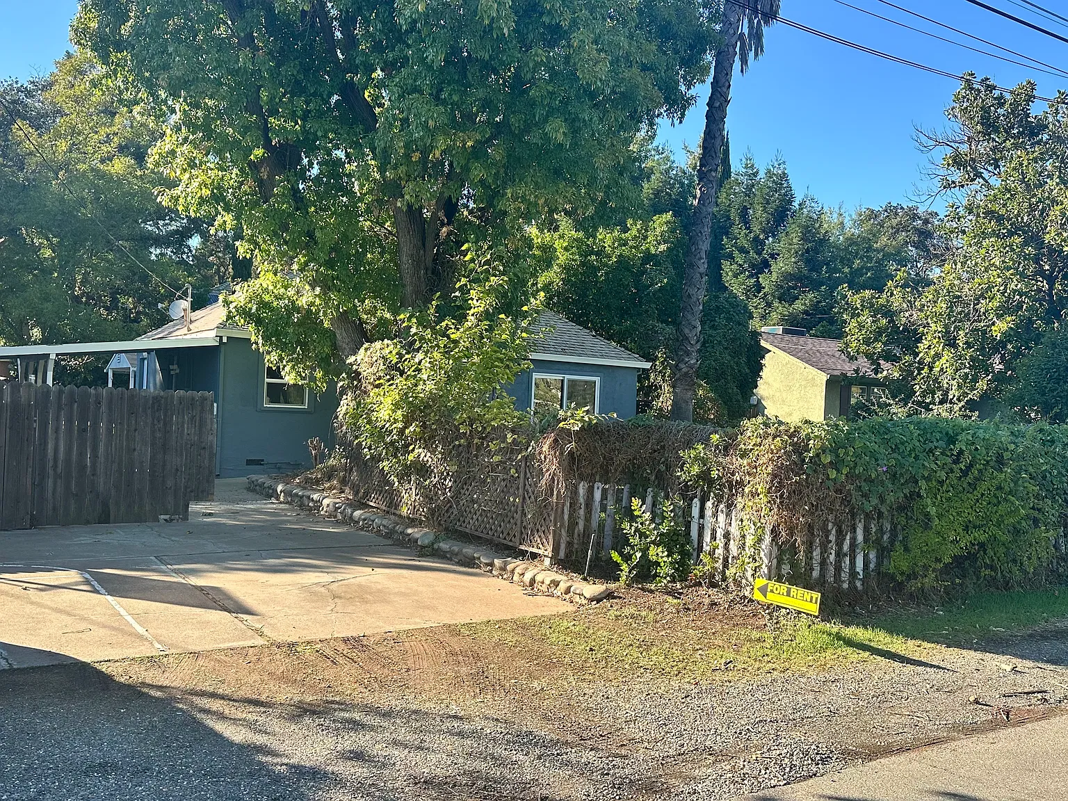 2 bed, 872 sqft, $2,350 — Photo 2