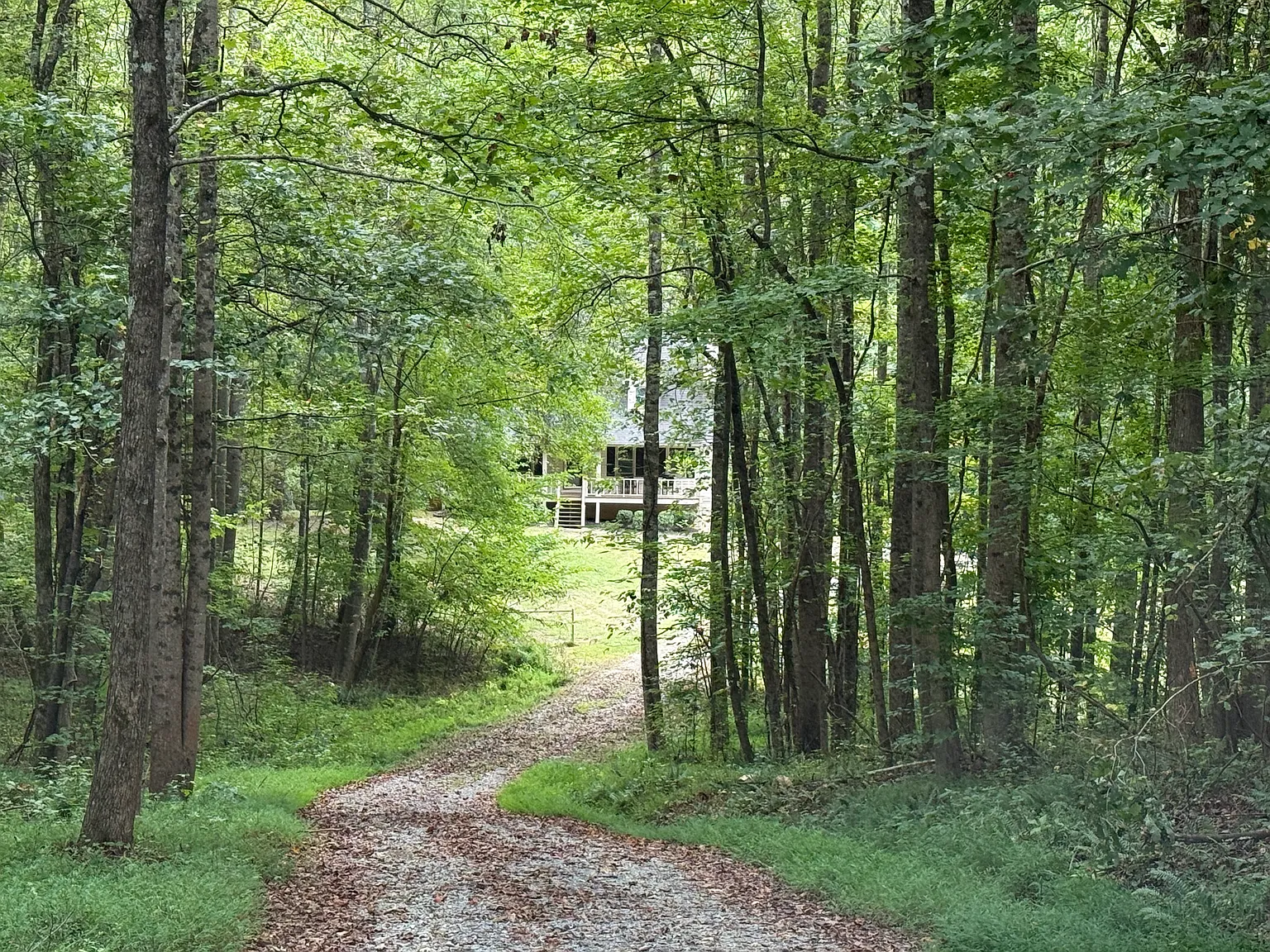 3 bed, 1760 sqft, $2,800 — Photo 3