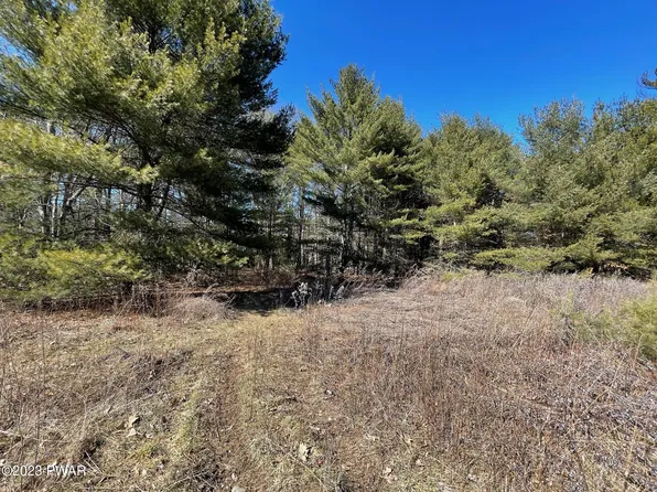 LOT 19 Mountain Springs Rd, Milford, PA 18337