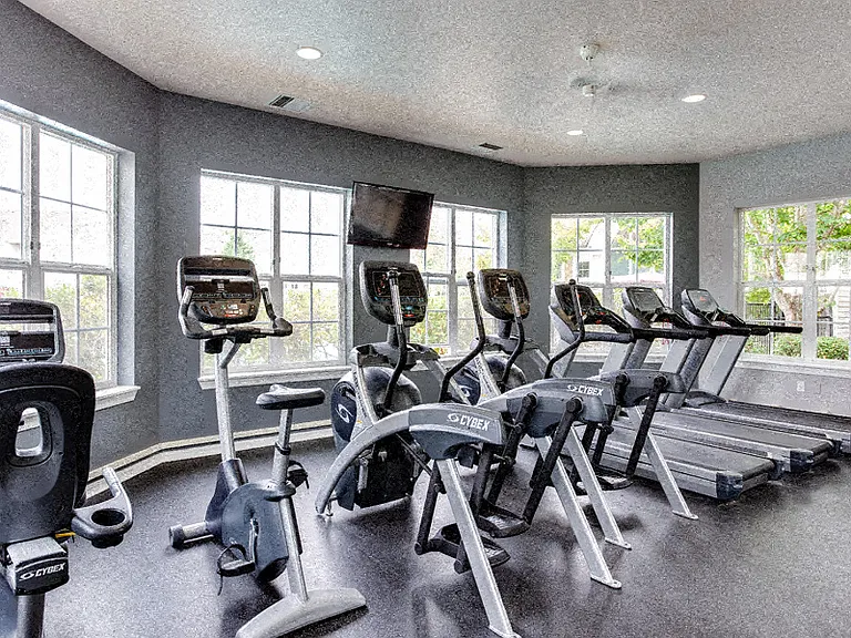Cybex circuit training