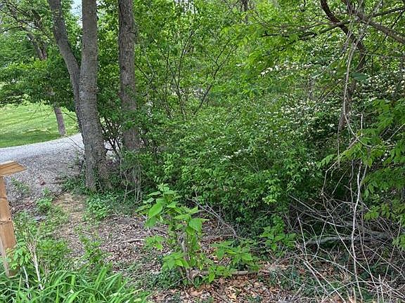 5th image of 456 Susan Rd