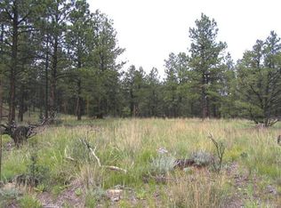 North Fork Properties Lot 19, Weston, CO 81091