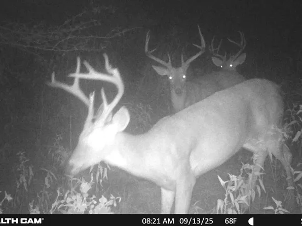 Highway 31, Coalgate, OK 74538