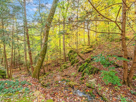 47th image of 205 Tobby Hollow Ln