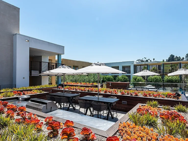 Runway Playa Vista Succulent Garden