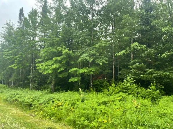 On Cth N, Glidden, WI 54527