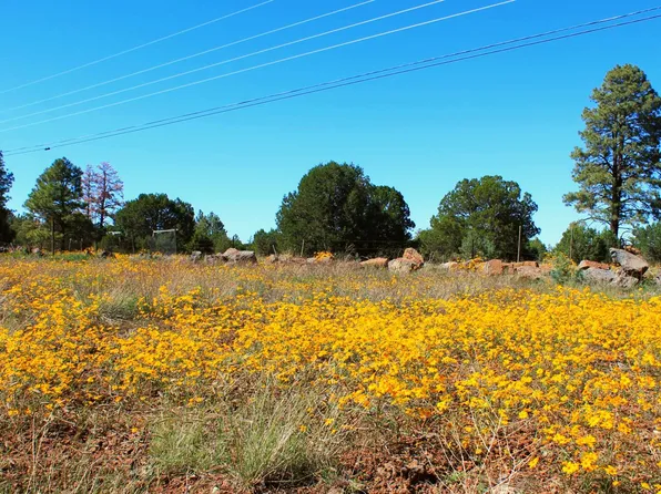 2966 Johnson St, Lakeside, AZ 85929