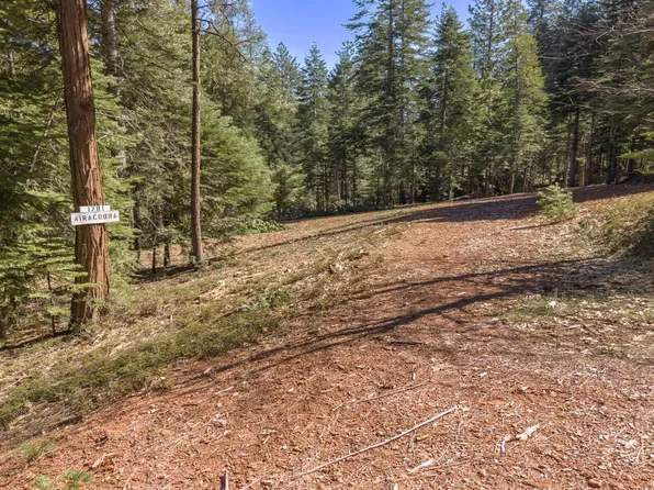 1781 Airacobra Ave, Arnold, CA 95223