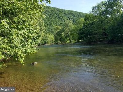 Bear Paw, Maurertown, VA, 22644