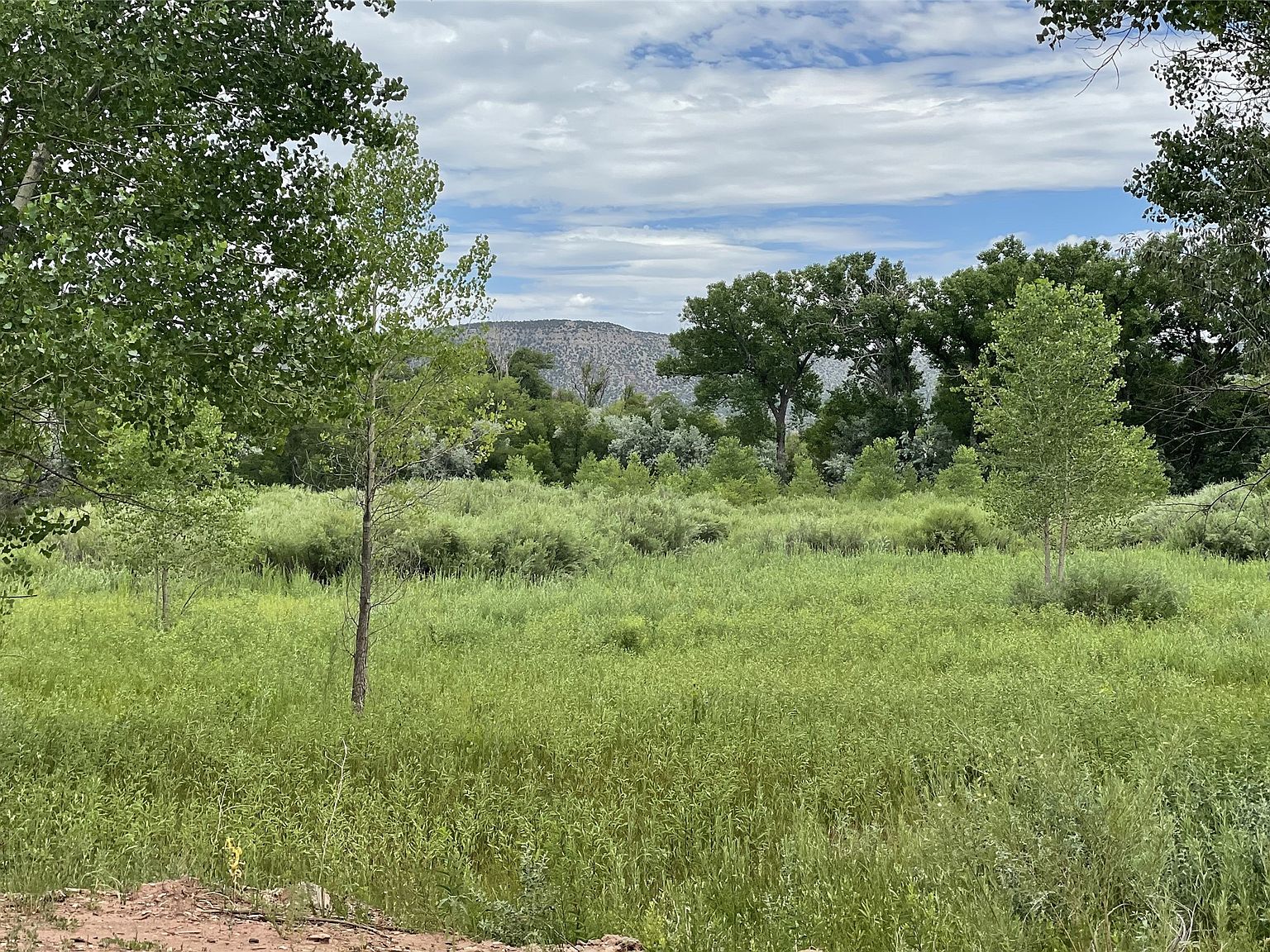 226 State Highway 3, Ribera, NM 87560 | MLS #202340296 | Zillow