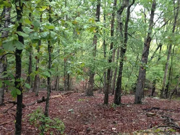 1002 Pond Valley Rd, Blythewood, SC 29016