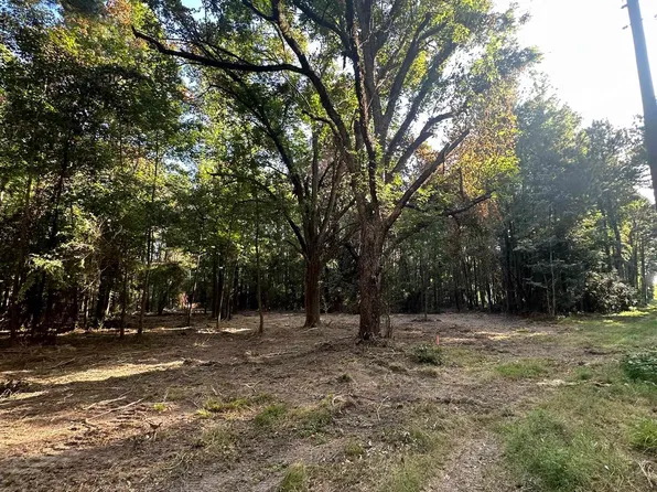 LOT Scott Barr Rd #A, Slaughter, LA 70777