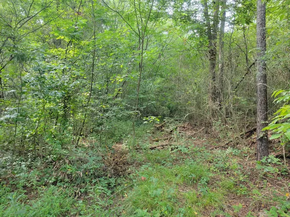 0 Happy Valley Rd, Rossville, GA 30741