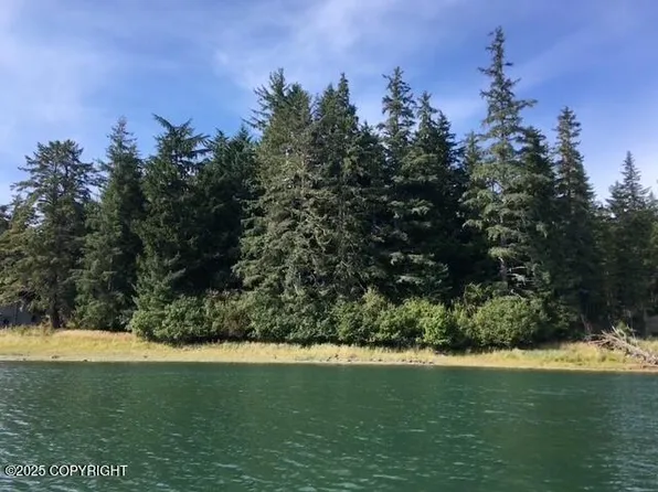 L13 Keene Channel, Petersburg, AK 99833