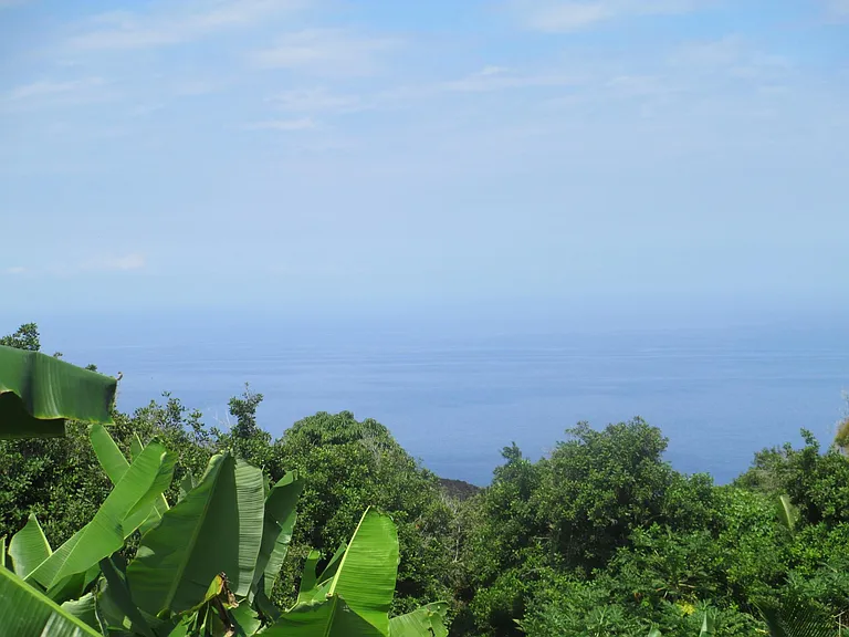 87-2439 Mamalahoa Hwy — Photo 10