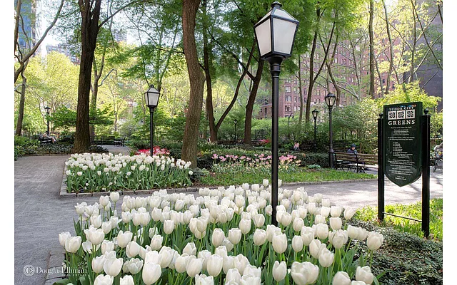 Sold by Douglas Elliman | media 6