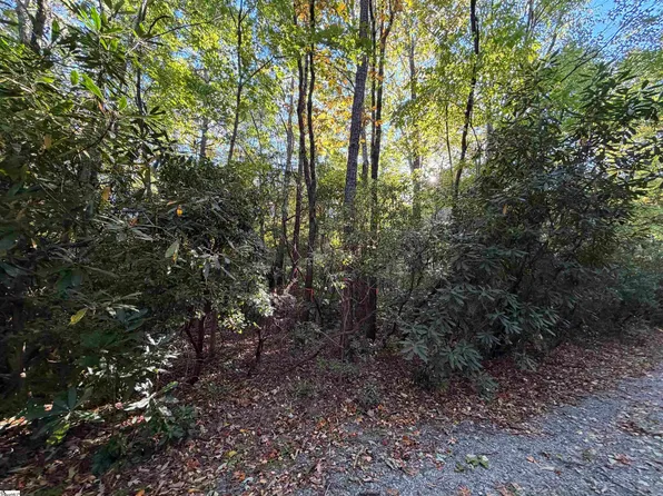 LOT 88 Upper Oil Camp Rd, Cleveland, SC 29635