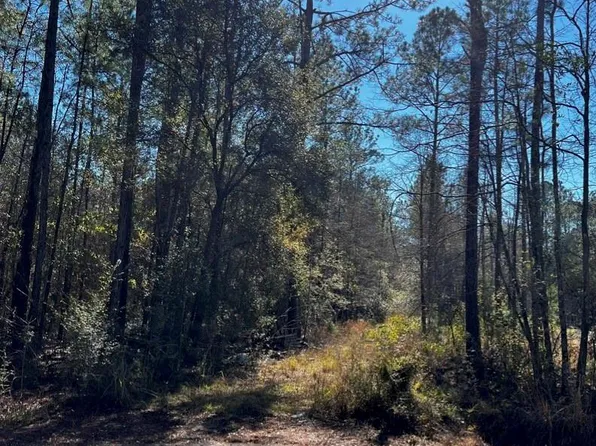 Green St, Abita Springs, LA 70420