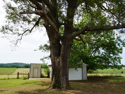 1 Shady Ln, Larue, TX, 75770