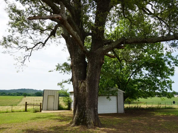 1 Shady Ln, Larue, TX 75770