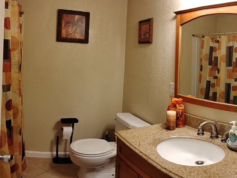 Guest bathroom