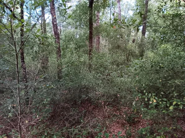 0 NE 7th St #8, Williston, FL 32696