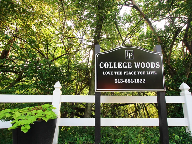 College Woods — Photo 57